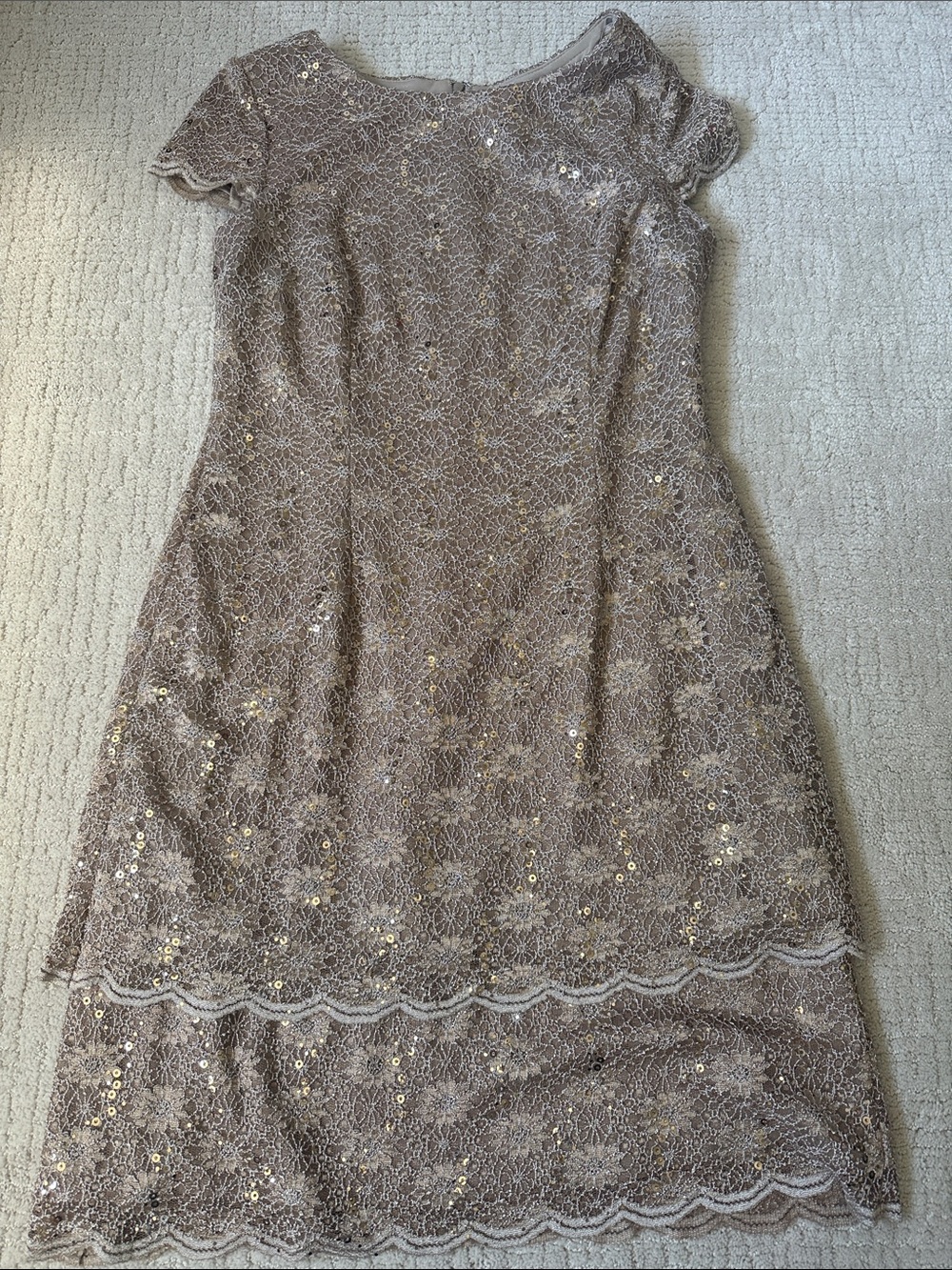 Alex Evenings Sequin Lace Cocktail Dress in Taupe